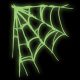DOWNLOAD: Spiders Corner Web