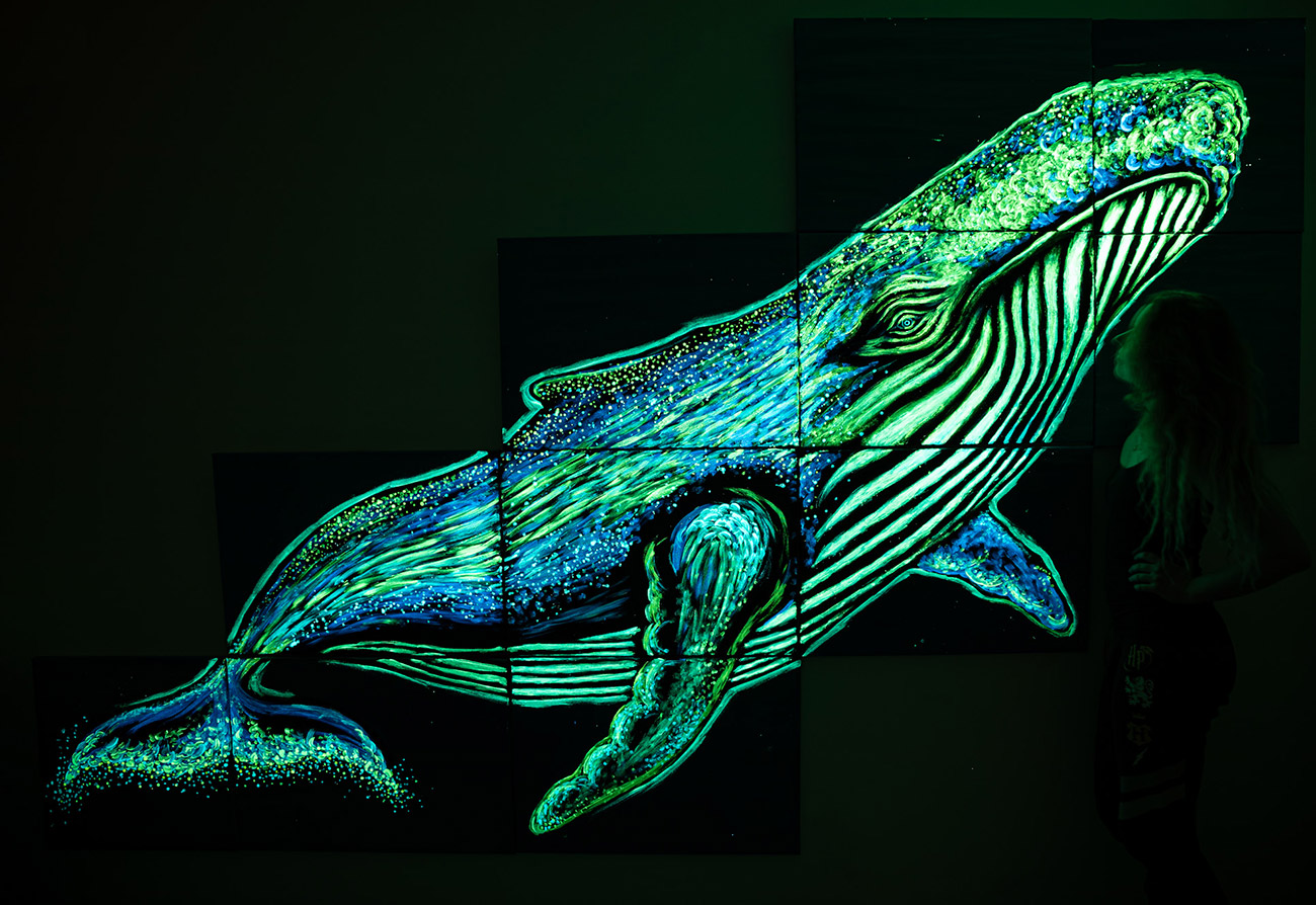 Vendula Zlamalova - Charley the Glow in the Dark Humpback Whale (Glow)